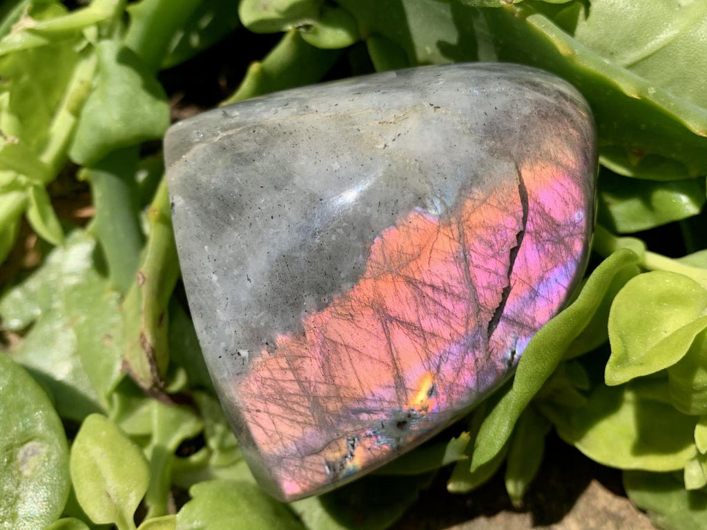 Polished Rare Purple Sunset Labradorite Standing Free Form x 1 From Tulear, Madagascar