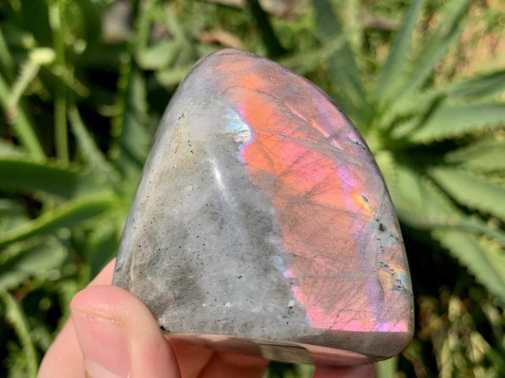 Polished Rare Purple Sunset Labradorite Standing Free Form x 1 From Tulear, Madagascar