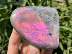 Polished Rare Purple Sunset Labradorite Standing Free Form x 1 From Tulear, Madagascar