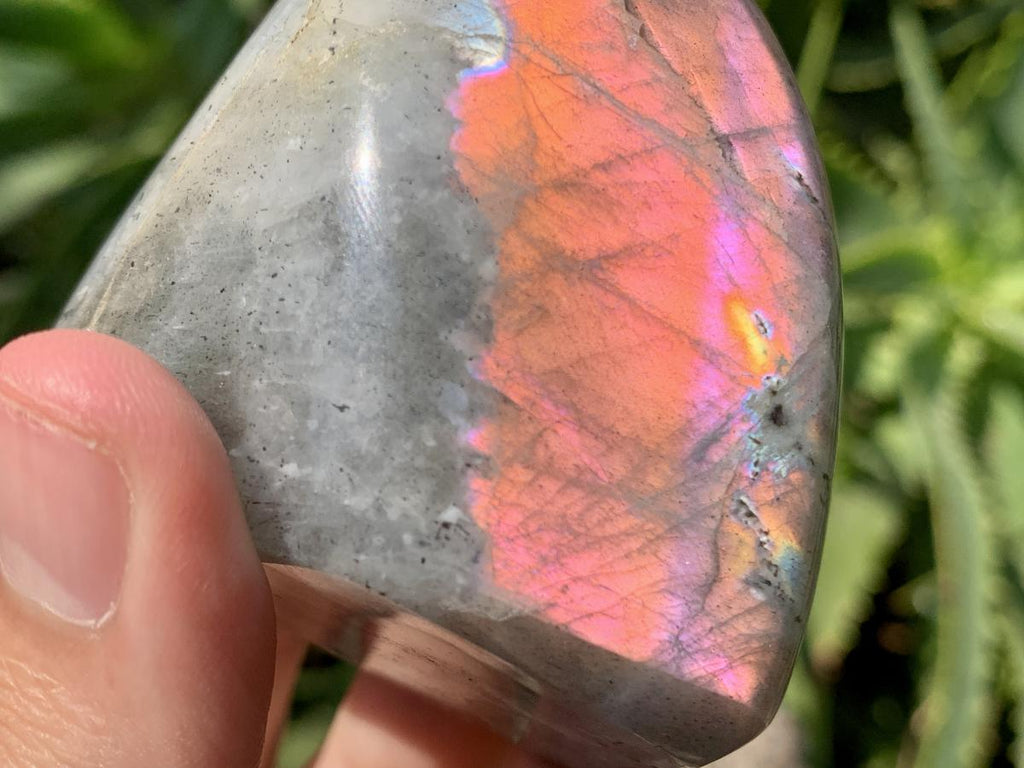 Polished Rare Purple Sunset Labradorite Standing Free Form x 1 From Tulear, Madagascar