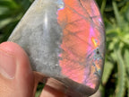 Polished Rare Purple Sunset Labradorite Standing Free Form x 1 From Tulear, Madagascar