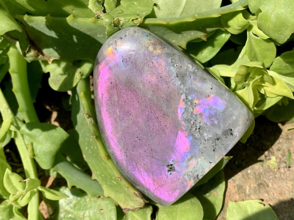Polished Rare Purple Sunset Labradorite Standing Free Form x 1 From Tulear, Madagascar
