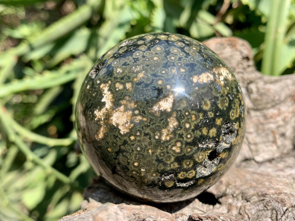 Polished Orbicular Ocean Jasper Sphere x 1 From Madagascar
