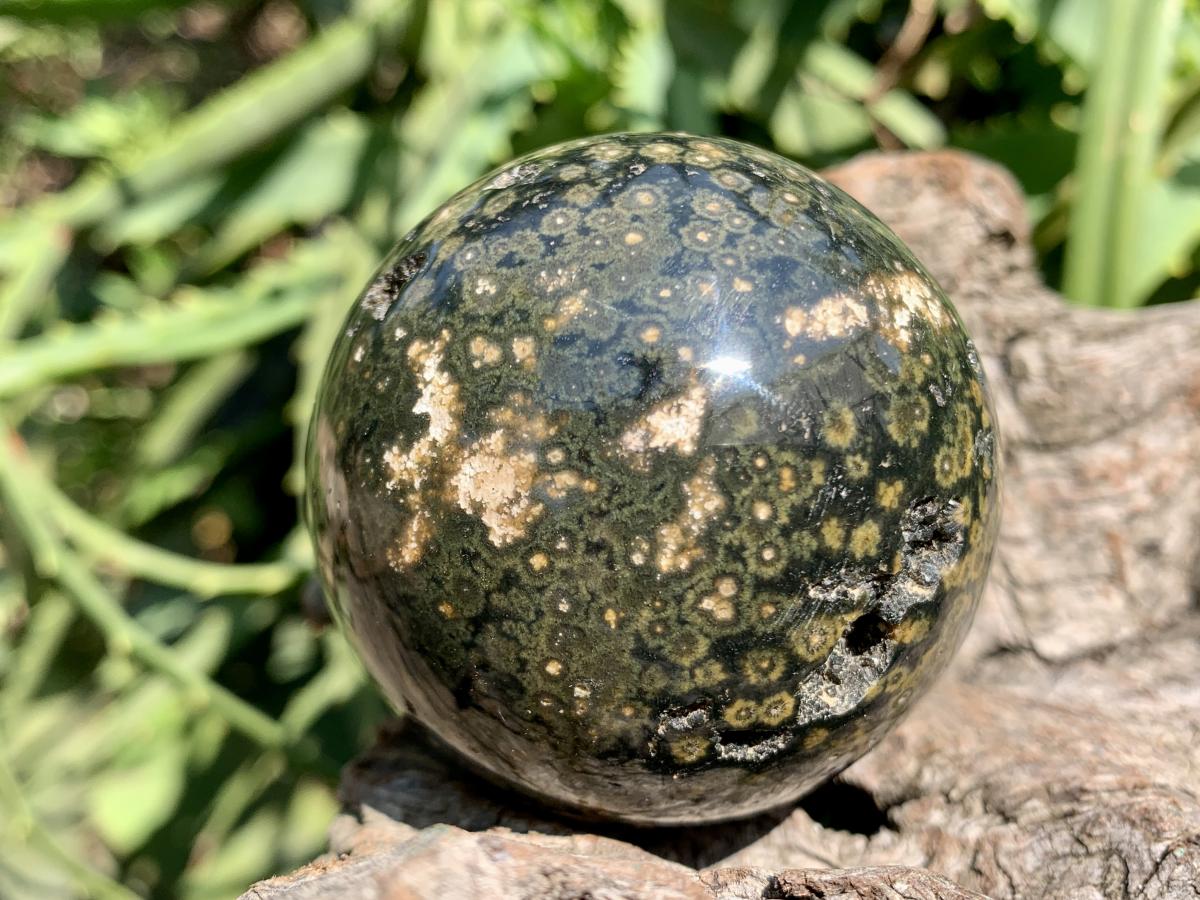 Polished Orbicular Ocean Jasper Sphere x 1 From Madagascar