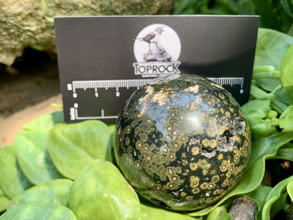 Polished Orbicular Ocean Jasper Sphere x 1 From Madagascar