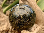 Polished Orbicular Ocean Jasper Sphere x 1 From Madagascar