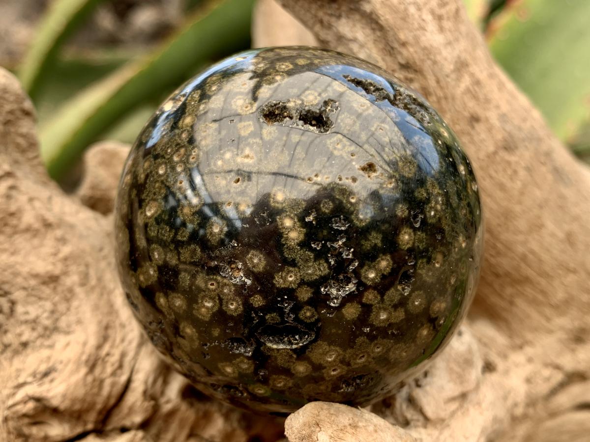 Polished Orbicular Ocean Jasper Sphere x 1 From Madagascar