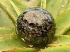 Polished Orbicular Ocean Jasper Sphere x 1 From Madagascar