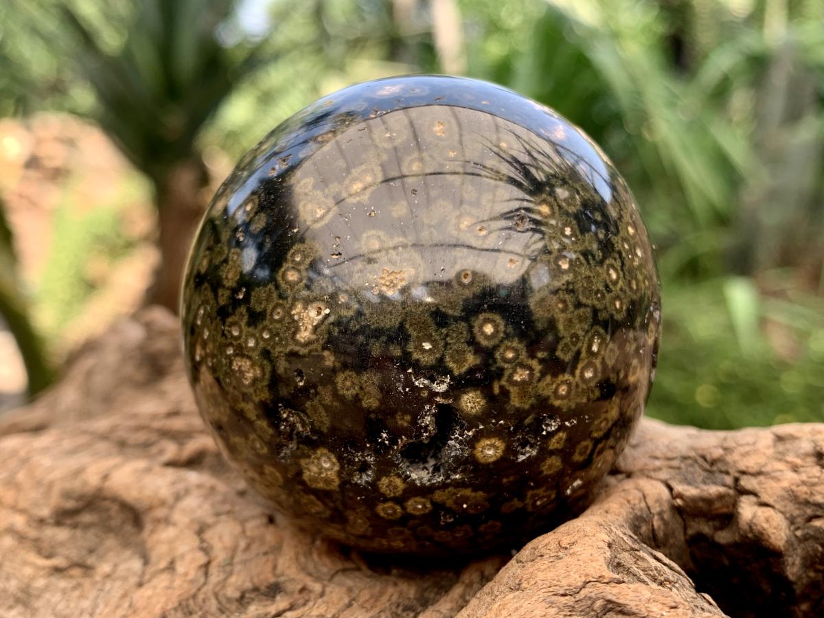 Polished Orbicular Ocean Jasper Sphere x 1 From Madagascar