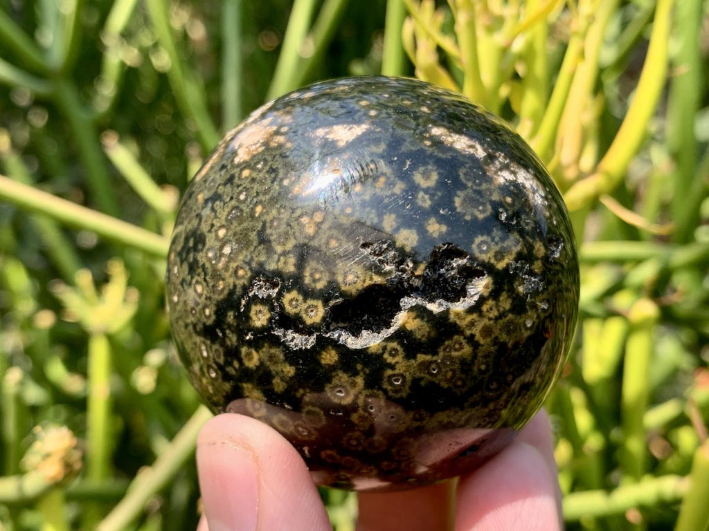 Polished Orbicular Ocean Jasper Sphere x 1 From Madagascar