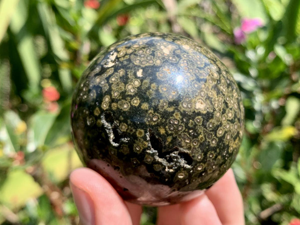 Polished Orbicular Ocean Jasper Sphere x 1 From Madagascar