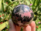 Polished Pink Rhodonite Sphere x 1 From Madagascar