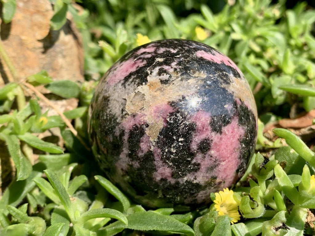 Polished Pink Rhodonite Sphere x 1 From Madagascar