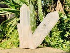 Natural Twin V Clear Quartz Crystal Cluster x 1 From Ambatofinandrahana, Madagascar