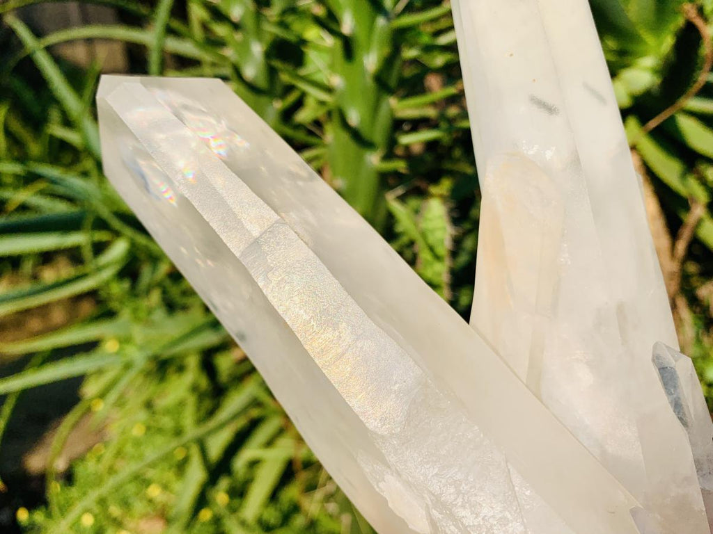 Natural Twin V Clear Quartz Crystal Cluster x 1 From Ambatofinandrahana, Madagascar
