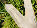 Natural Twin V Clear Quartz Crystal Cluster x 1 From Ambatofinandrahana, Madagascar