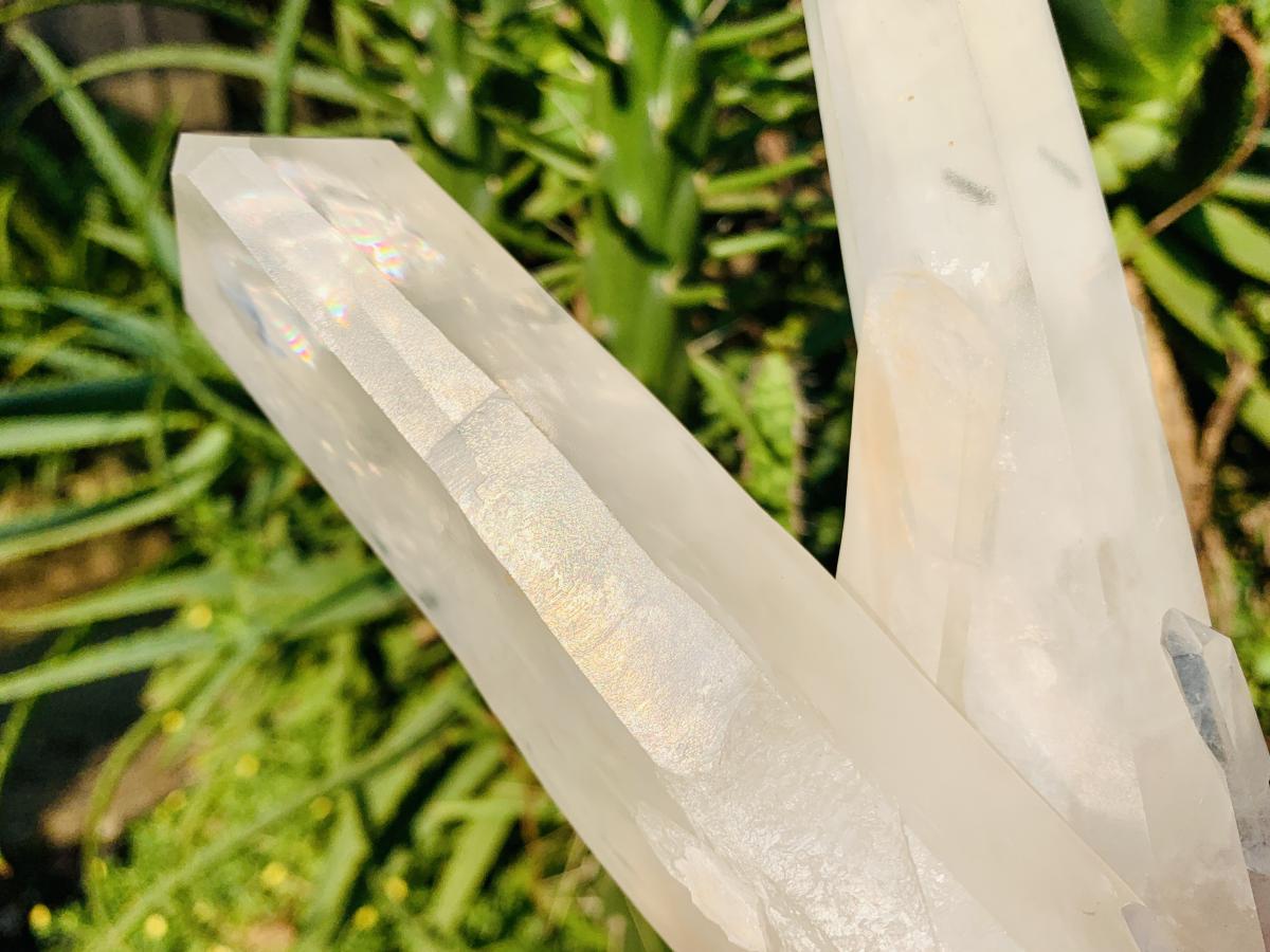 Natural Twin V Clear Quartz Crystal Cluster x 1 From Ambatofinandrahana, Madagascar