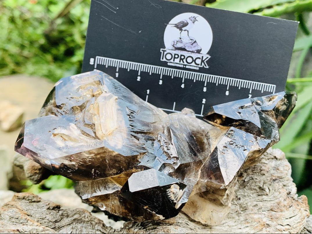 Natural Tabular Window Smokey Amethyst Crystal Cluster x 1 From Brandberg, Namibia