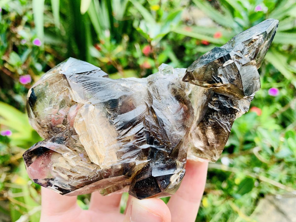 Natural Tabular Window Smokey Amethyst Crystal Cluster x 1 From Brandberg, Namibia