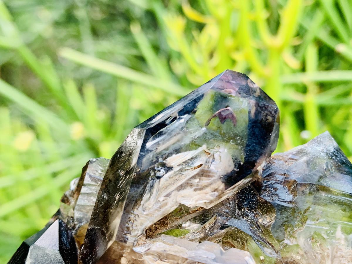 Natural Tabular Window Smokey Amethyst Crystal Cluster x 1 From Brandberg, Namibia