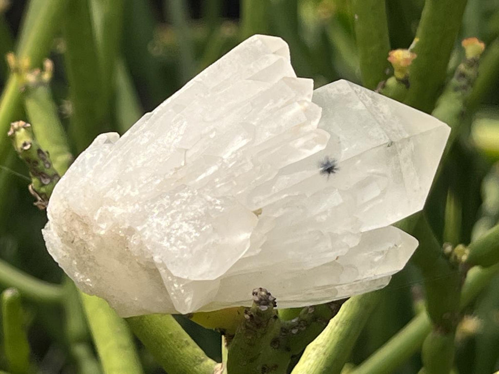 Natural Hollandite Star Cascading Quartz Cluster x 1 From Ambositra, Madagascar