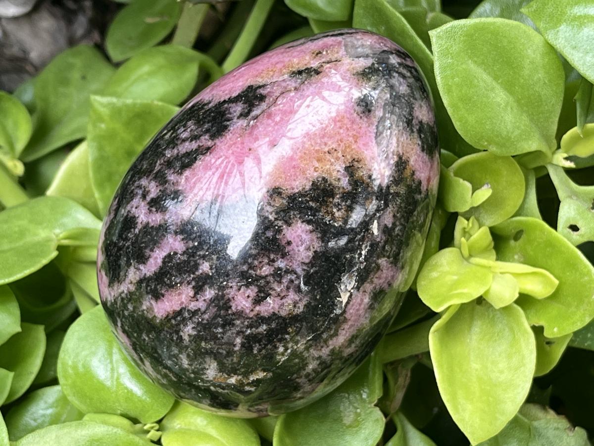 Polished Pink Rhodonite Egg x 1 From Madagascar