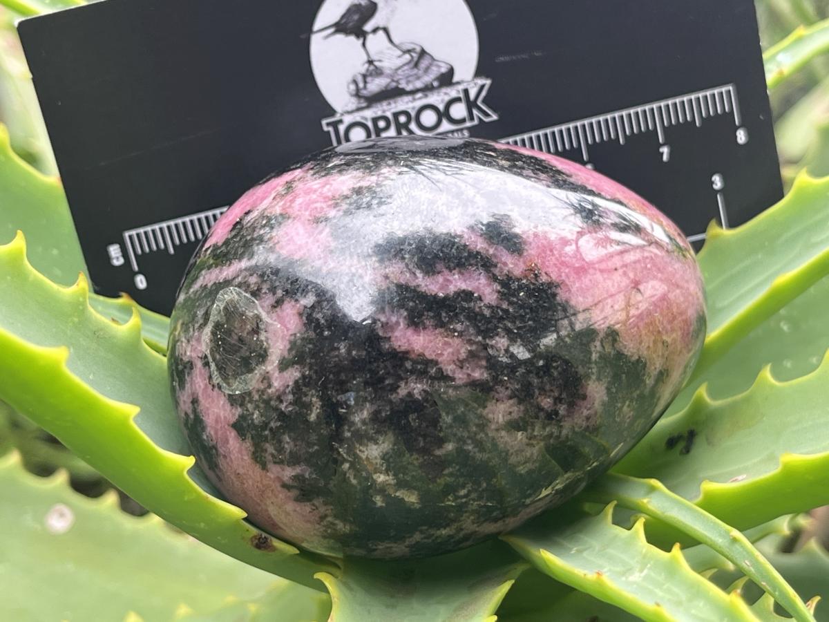 Polished Pink Rhodonite Egg x 1 From Madagascar