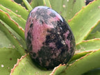 Polished Pink Rhodonite Egg x 1 From Madagascar