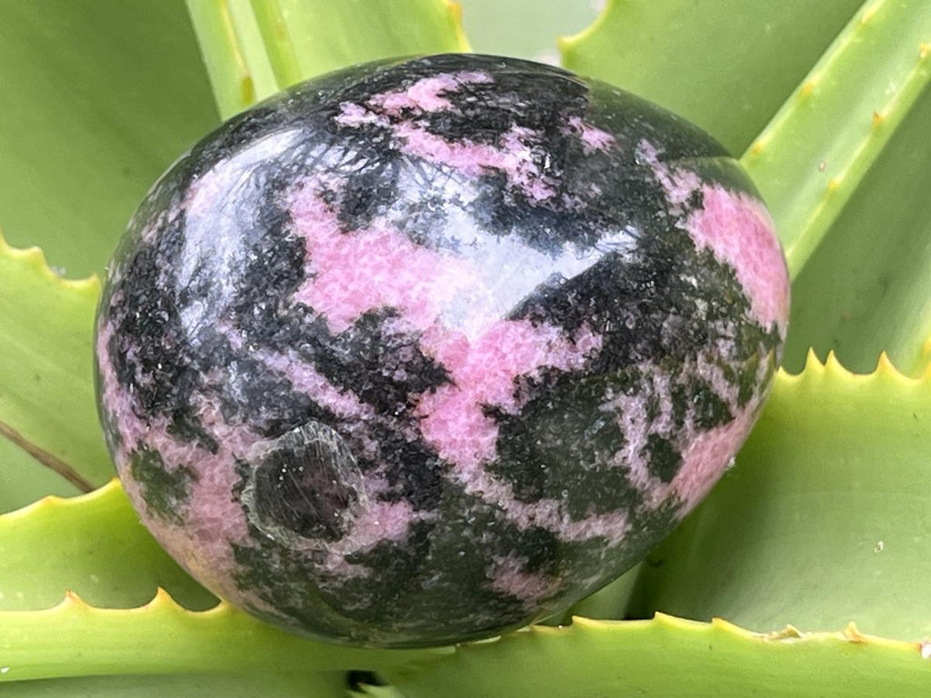 Polished Pink Rhodonite Egg x 1 From Madagascar