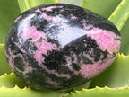 Polished Pink Rhodonite Egg x 1 From Madagascar