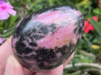 Polished Pink Rhodonite Egg x 1 From Madagascar