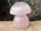 Polished Gemmy Star Rose Quartz Button Mushroom x 1 From Ambatondrazaka, Madagascar