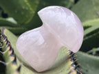 Polished Gemmy Star Rose Quartz Button Mushroom x 1 From Ambatondrazaka, Madagascar