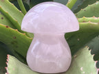 Polished Gemmy Star Rose Quartz Button Mushroom x 1 From Ambatondrazaka, Madagascar