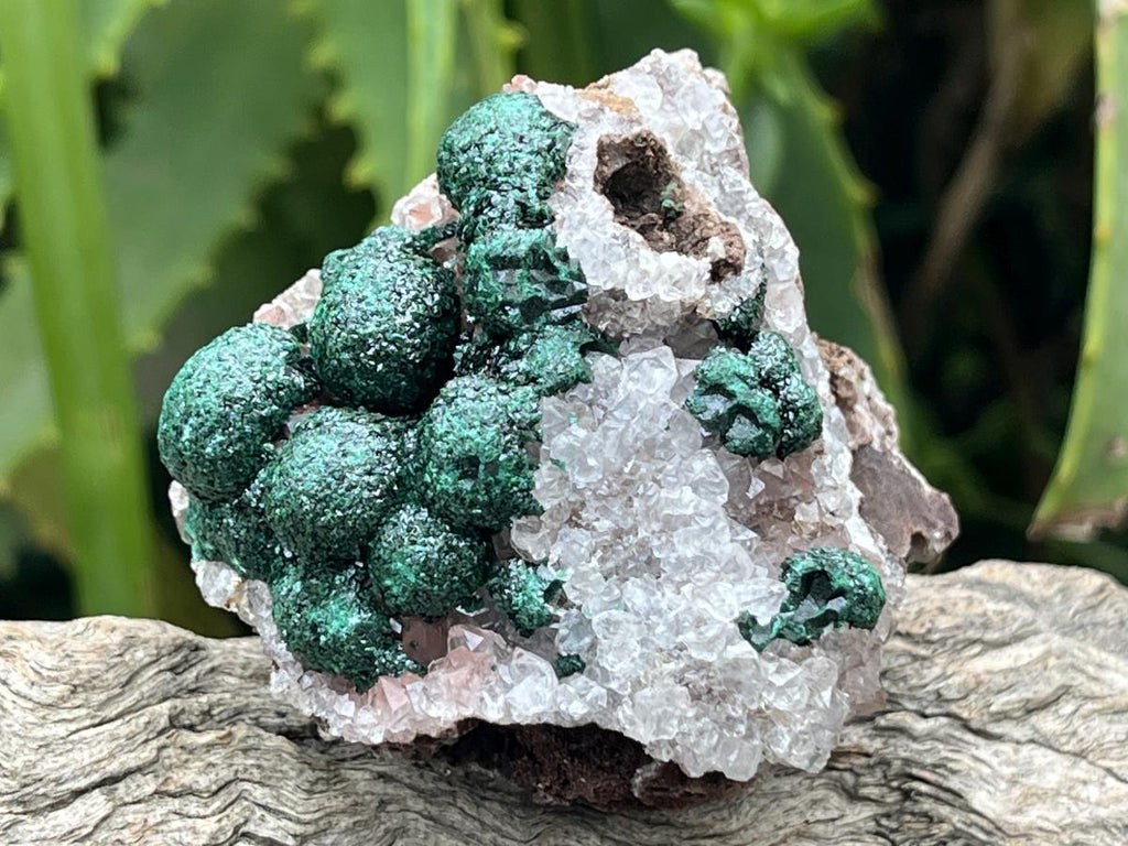 Natural Perfect Small Ball Malachite Specimen x 1 From Mindingi Mine, Congo
