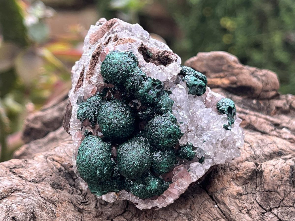 Natural Perfect Small Ball Malachite Specimen x 1 From Mindingi Mine, Congo