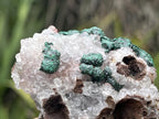 Natural Perfect Small Ball Malachite Specimen x 1 From Mindingi Mine, Congo