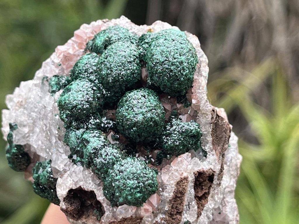 Natural Perfect Small Ball Malachite Specimen x 1 From Mindingi Mine, Congo