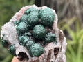 Natural Perfect Small Ball Malachite Specimen x 1 From Mindingi Mine, Congo