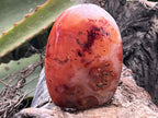 Polished Carnelian Standing Free Form x 1 From Madagascar