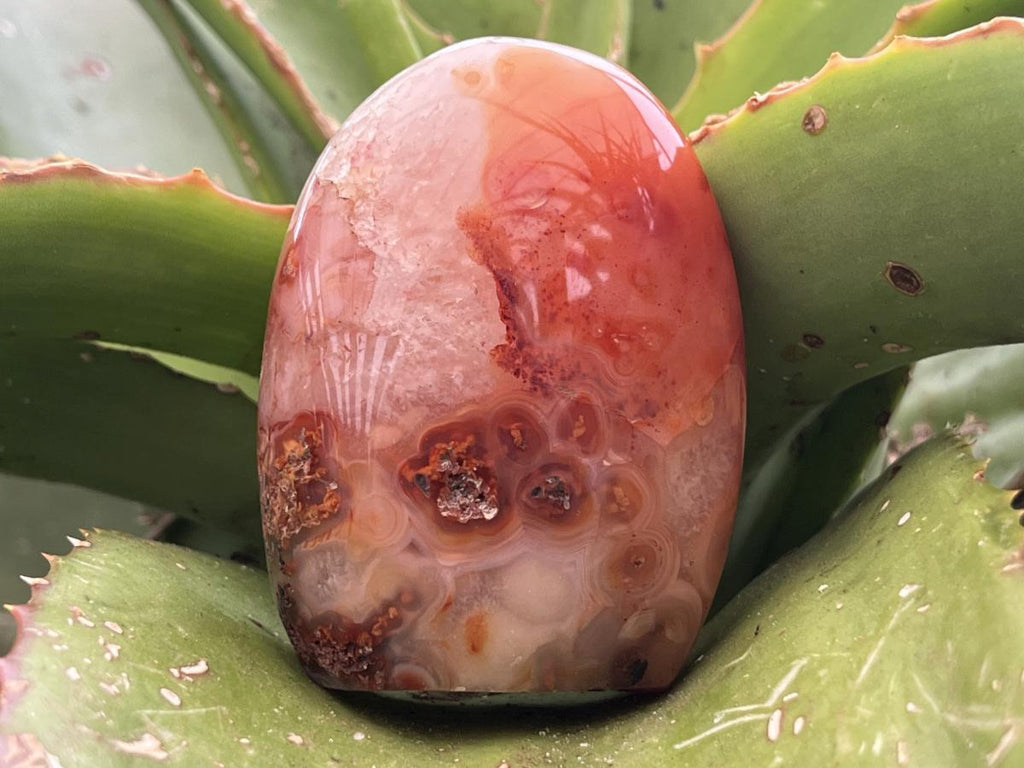 Polished Carnelian Standing Free Form x 1 From Madagascar