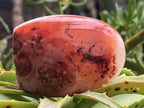 Polished Carnelian Standing Free Form x 1 From Madagascar