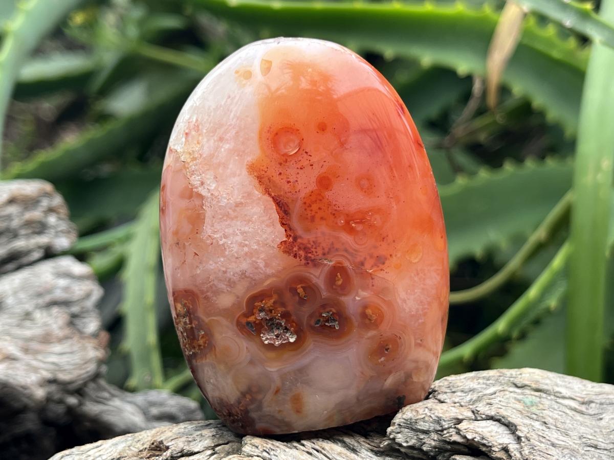 Polished Carnelian Standing Free Form x 1 From Madagascar