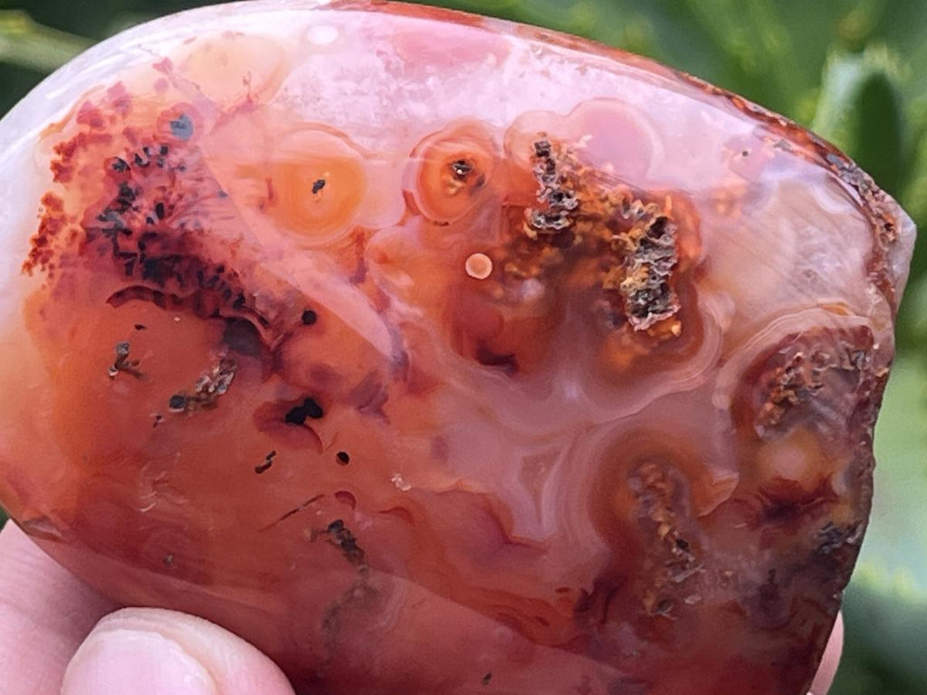 Polished Carnelian Standing Free Form x 1 From Madagascar