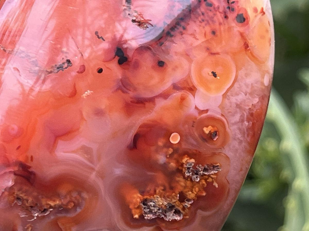 Polished Carnelian Standing Free Form x 1 From Madagascar