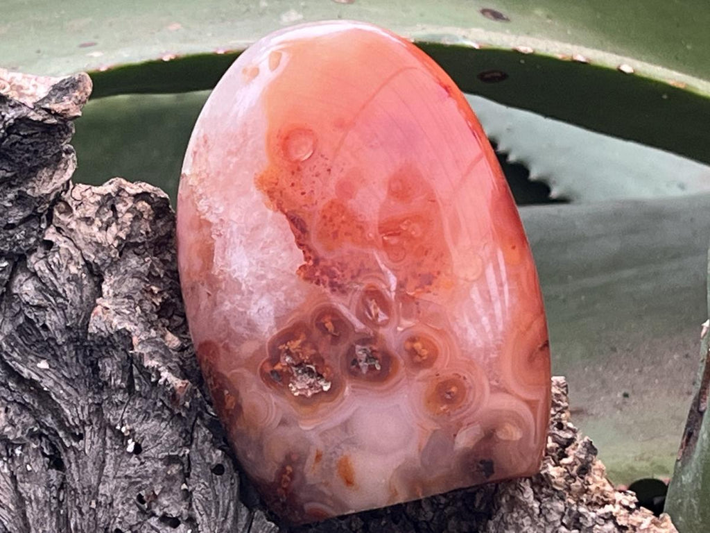 Polished Carnelian Standing Free Form x 1 From Madagascar