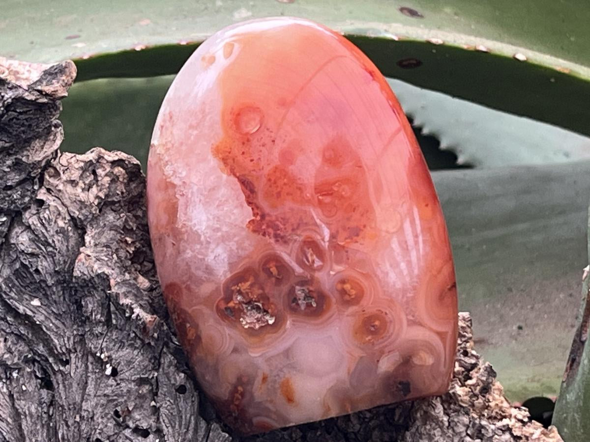Polished Carnelian Standing Free Form x 1 From Madagascar