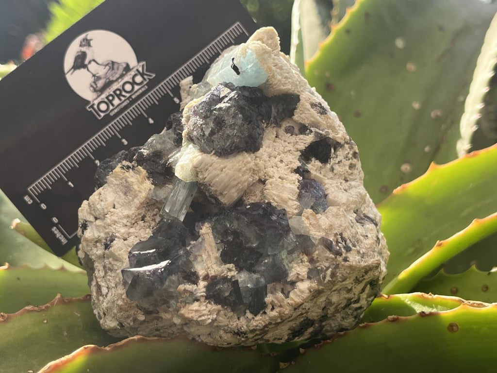 Natural Aquamarine, Fluorite And Black Tourmaline On Feldspar Specimen x 1 From Erongo, Namibia