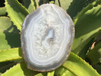 Polished Banded Agate Slice x 1 From Madagascar