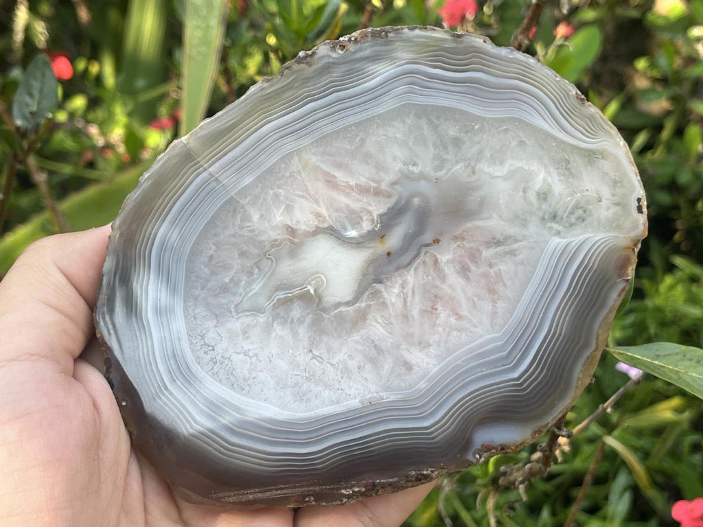 Polished Banded Agate Slice x 1 From Madagascar